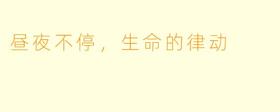 昼夜不停，生命的律动