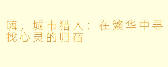 嗨,城市猎人:在繁华中寻找心灵的归宿