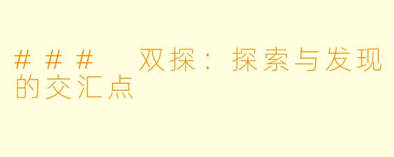 ### 双探：探索与发现的交汇点