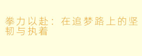 拳力以赴:在追梦路上的坚韧与执着