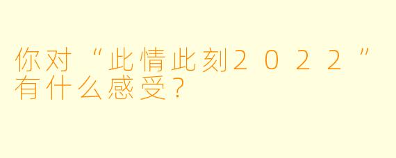 你对“此情此刻2022”有什么感受？
