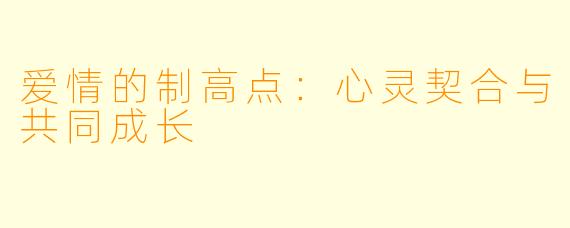 爱情的制高点:心灵契合与共同成长
