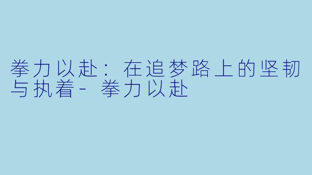 拳力以赴:在追梦路上的坚韧与执着