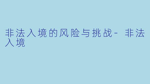 非法入境的风险与挑战-非法入境