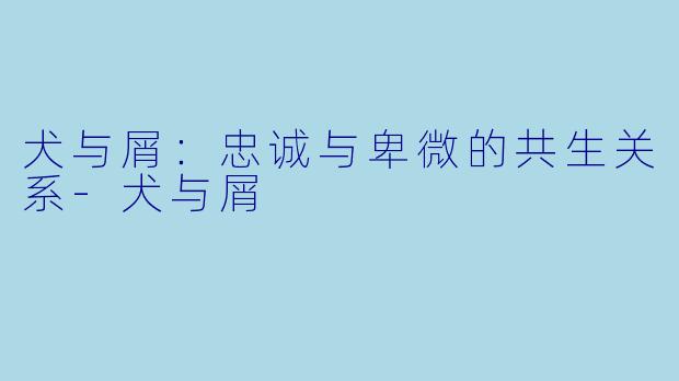 犬与屑：忠诚与卑微的共生关系