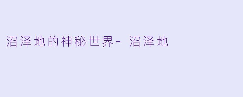 沼泽地的神秘世界
