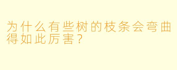 为什么有些树的枝条会弯曲得如此厉害？