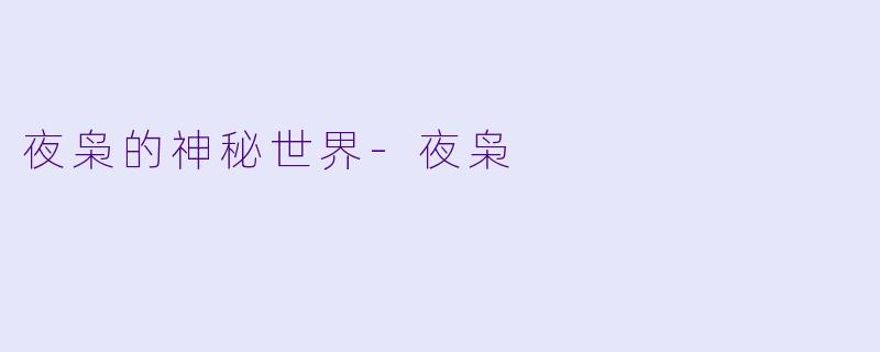 夜枭的神秘世界-夜枭