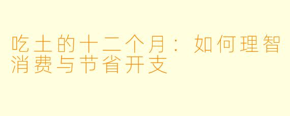 吃土的十二个月：如何理智消费与节省开支