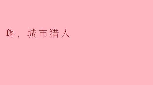 嗨，城市猎人