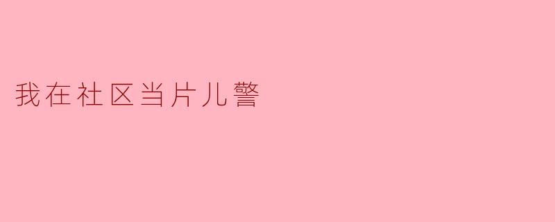 作为社区的片儿警，您在日常工作中主要负责哪些任务？