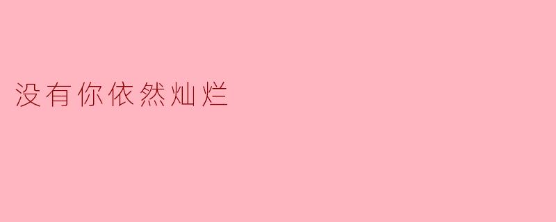 没有你依然灿烂