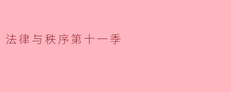 法律与秩序第十一季