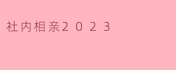 社内相亲2023