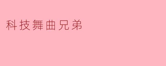 科技舞曲兄弟