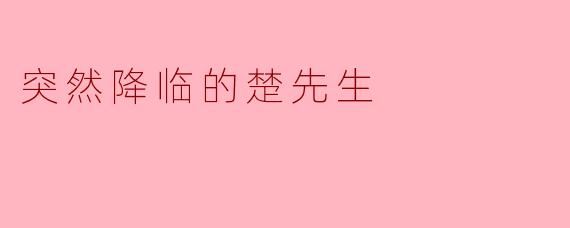 突然降临的楚先生