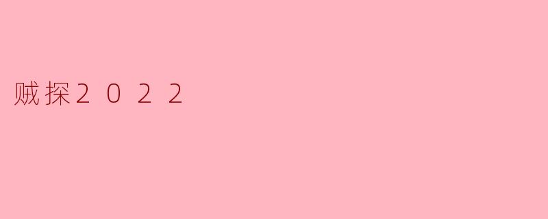 贼探2022