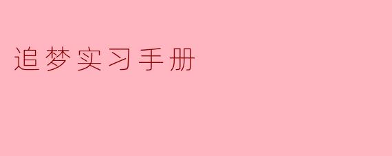 追梦实习手册