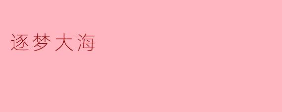逐梦大海