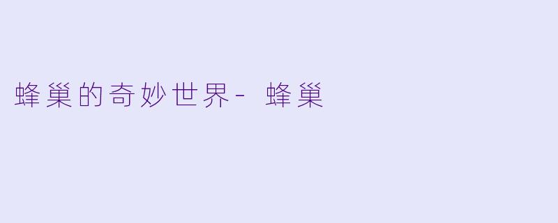 蜂巢的奇妙世界-蜂巢