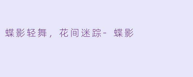 蝶影轻舞，花间迷踪-蝶影
