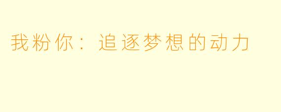 我粉你：追逐梦想的动力