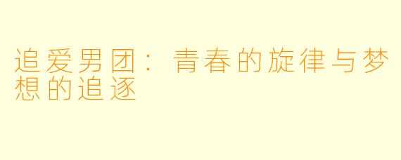 追爱男团：青春的旋律与梦想的追逐