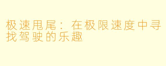 极速甩尾：在极限速度中寻找驾驶的乐趣