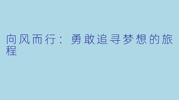 向风而行：勇敢追寻梦想的旅程