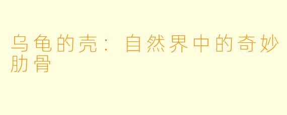乌龟的壳：自然界中的奇妙肋骨