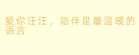 爱你汪汪，陪伴是最温暖的语言