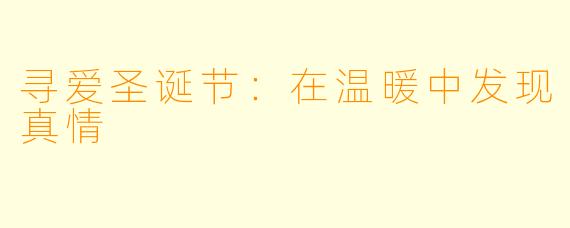 寻爱圣诞节：在温暖中发现真情