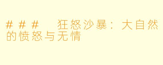 ### 狂怒沙暴：大自然的愤怒与无情