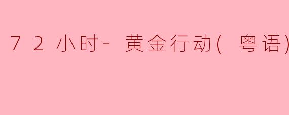 72小时-黄金行动(粤语)