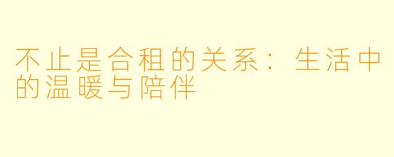 不止是合租的关系：生活中的温暖与陪伴