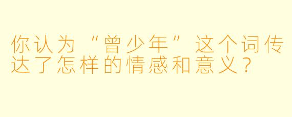 你认为“曾少年”这个词传达了怎样的情感和意义？