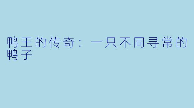 鸭王的传奇：一只不同寻常的鸭子
