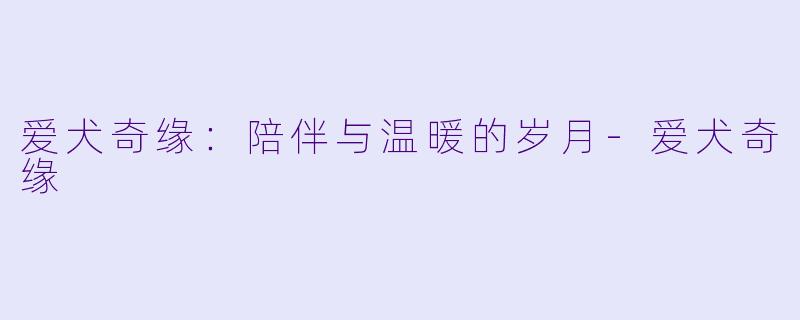 爱犬奇缘：陪伴与温暖的岁月-爱犬奇缘