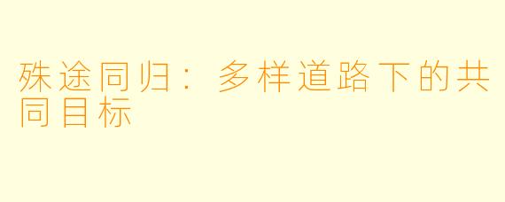 殊途同归：多样道路下的共同目标