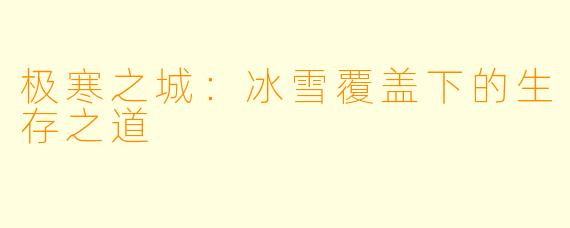 极寒之城：冰雪覆盖下的生存之道