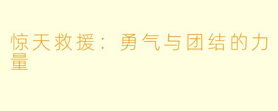 惊天救援：勇气与团结的力量
