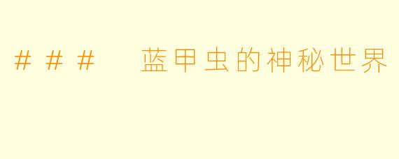 ### 蓝甲虫的神秘世界