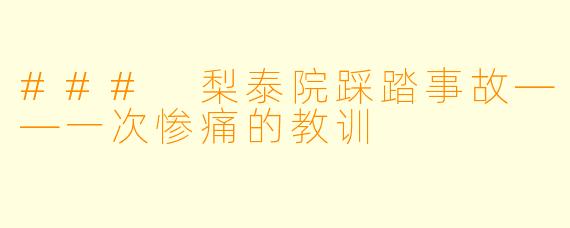 ### 梨泰院踩踏事故——一次惨痛的教训