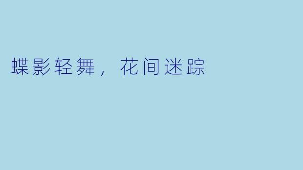 蝶影轻舞，花间迷踪