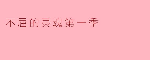 不屈的灵魂第一季