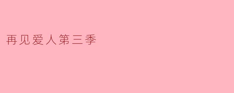 再见爱人第三季