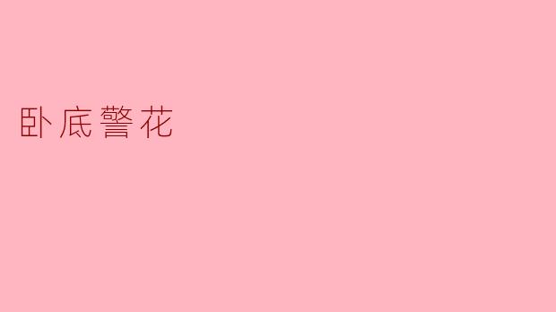 卧底警花