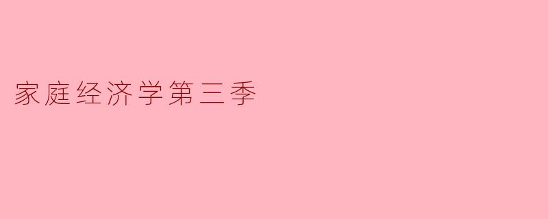 家庭经济学第三季