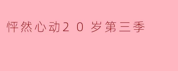 怦然心动20岁第三季