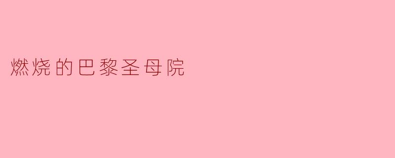 燃烧的巴黎圣母院